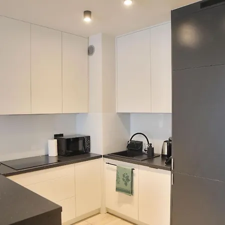 Uroczy Apartament 38 M2 Tychy, Slaskie Ogrody Exterior photo